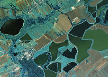 Aerial photography: Fish-breeding ponds (central of Poland)