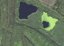 Aerial photography: Pond (Kirovohrad Oblast)