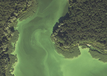 Aerial photography: Bay of river Dnipro (Zaporizhia Oblast)