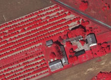 Аерофотозйомка: Сільськогосподарські землі - кольоровий інфрачервоний знімок