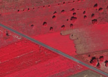 Аерофотозйомка: Пасовище - кольоровий інфрачервоний знімок