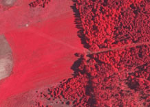 Аерофотозйомка: Ліс і поле - кольоровий інфрачервоний знімок