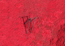 Аерофотозйомка: Високовольтна вежа біля Радлова - кольоровий інфрачервоний знімок