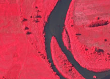 Аэрофотосъемка: Остров на реке - цветной инфракрасный снимок