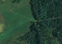 Аэрофотосъемка: Лес и поле - цветной снимок (RGB)