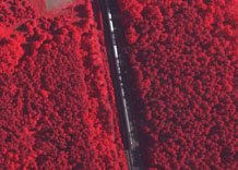 Аэрофотосъемка: Поезд - цветной инфракрасный снимок
