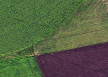 Аэрофотосъемка: Сельскохозяйственные угодья (Херсонськая область)